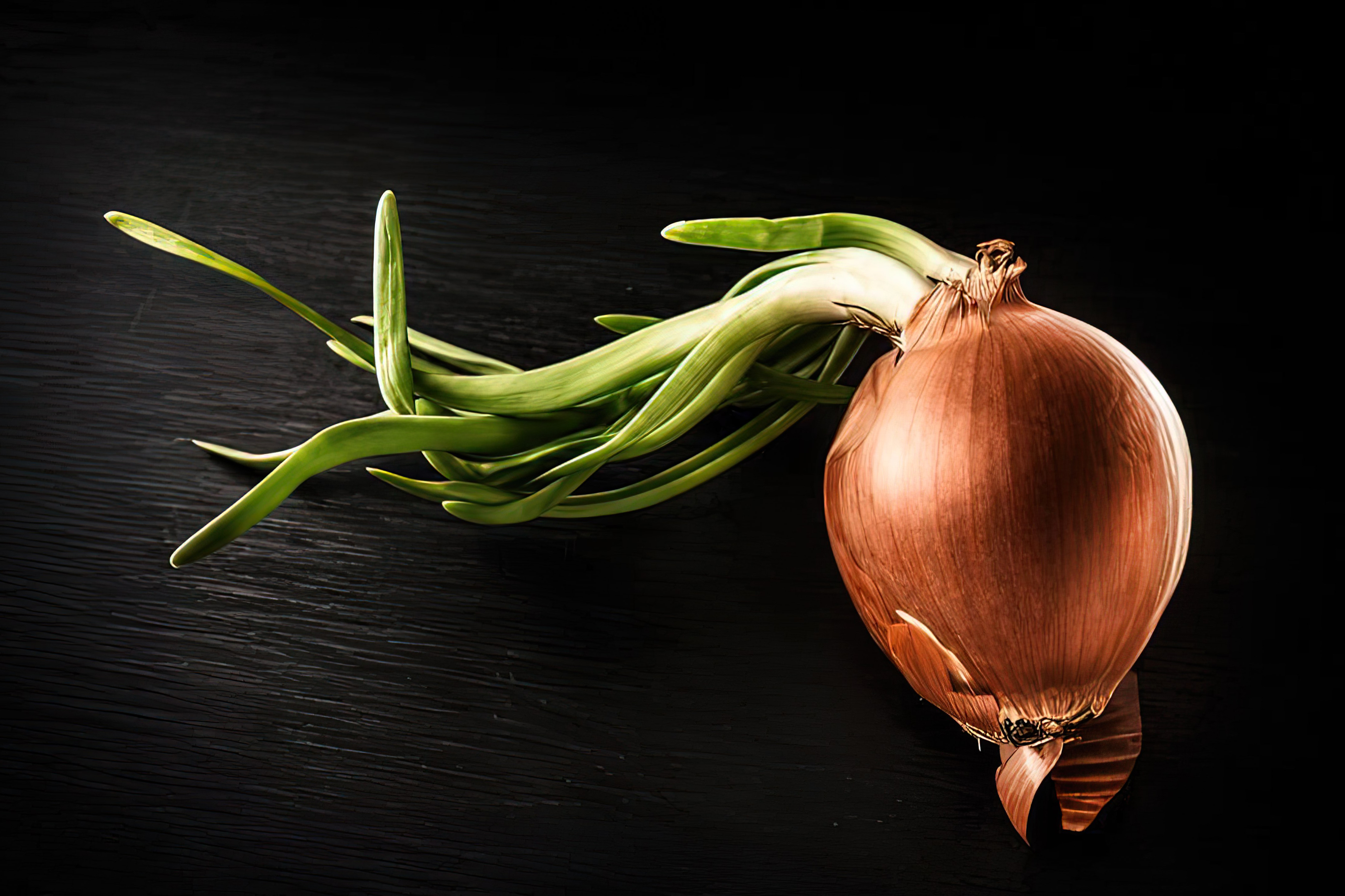 Food Photography 1