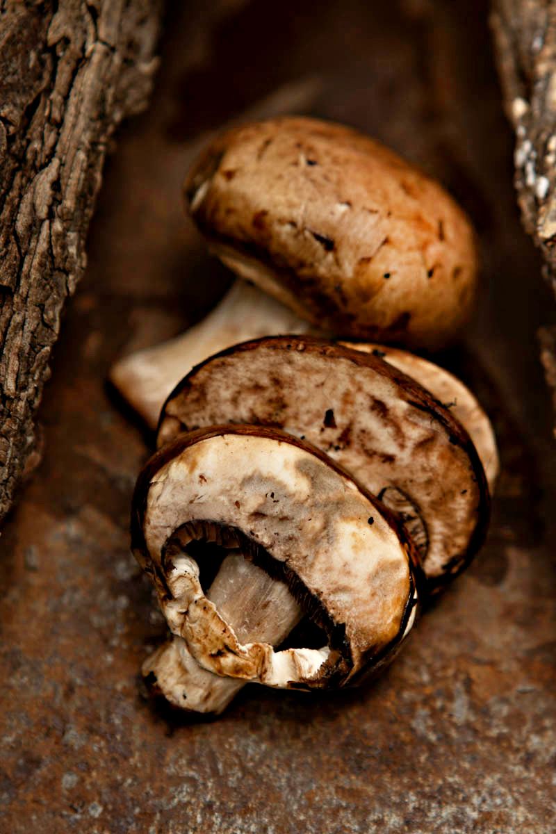 Food Photography 6