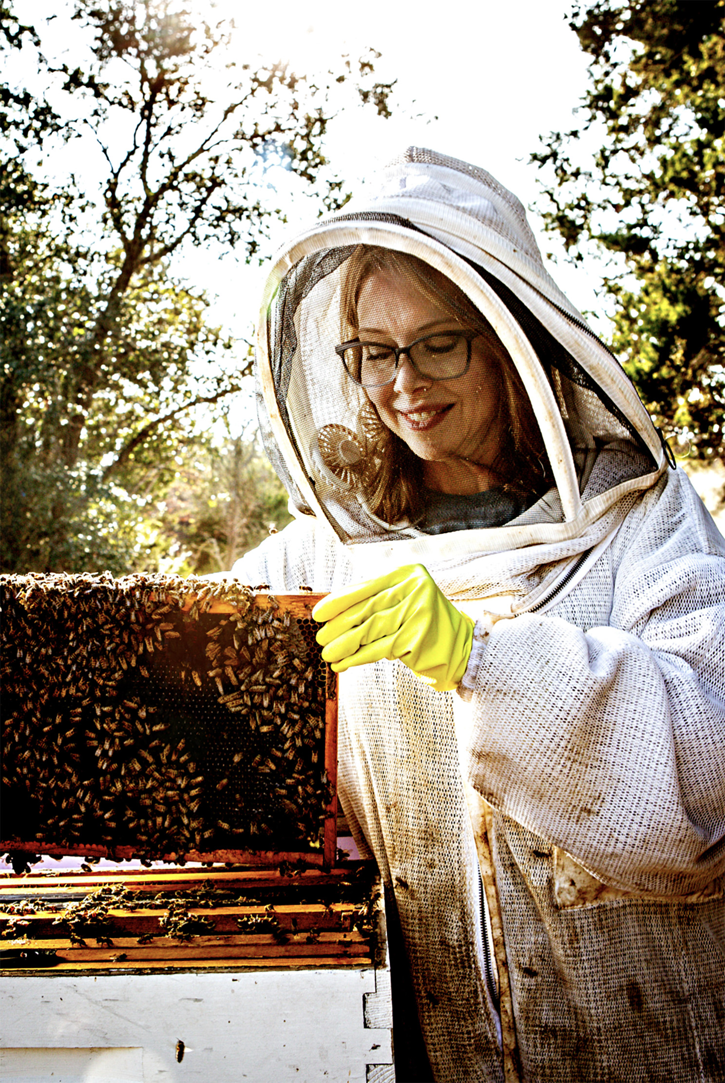 Bees Project 6