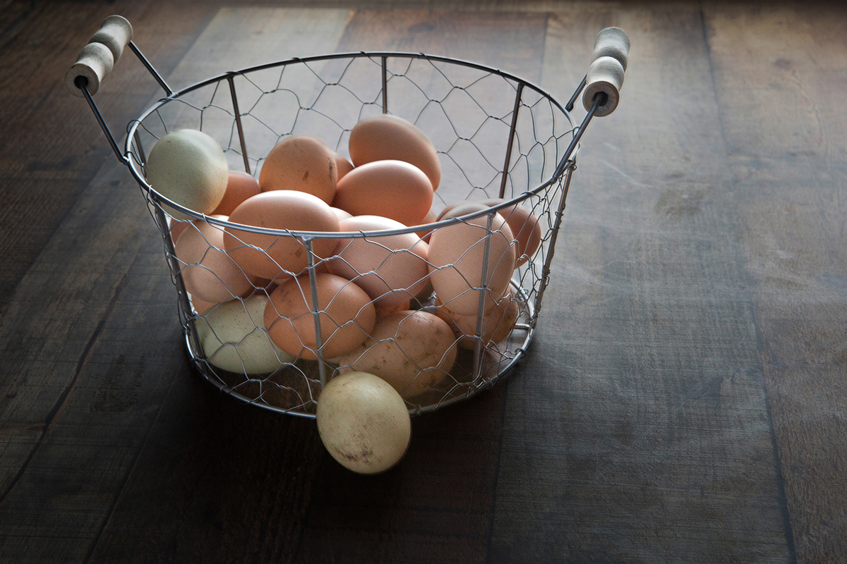 Eggs in a wire basket